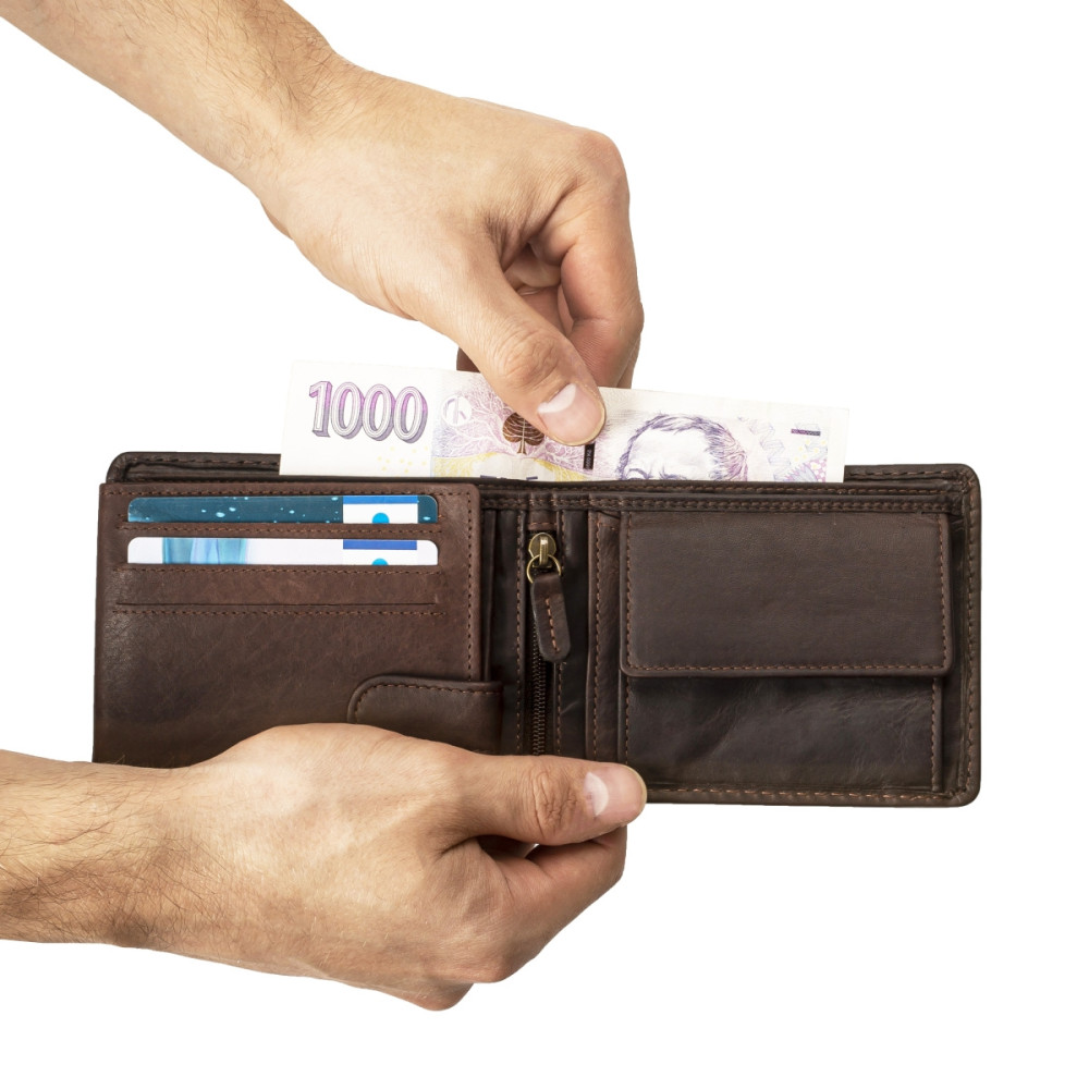 detail Pánská peněženka RIEKER 1001 hnědá S5