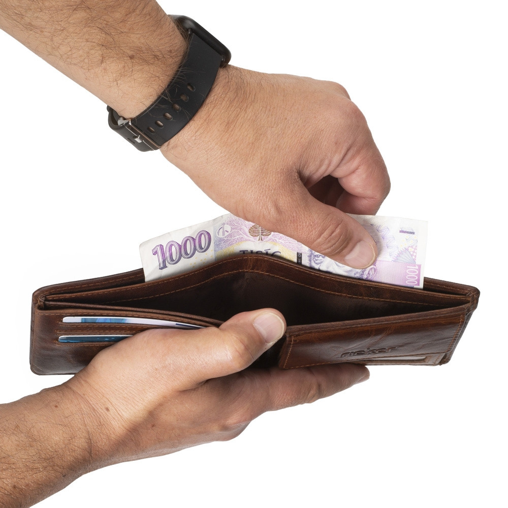 detail Pánská peněženka RIEKER 1006 hnědá S5