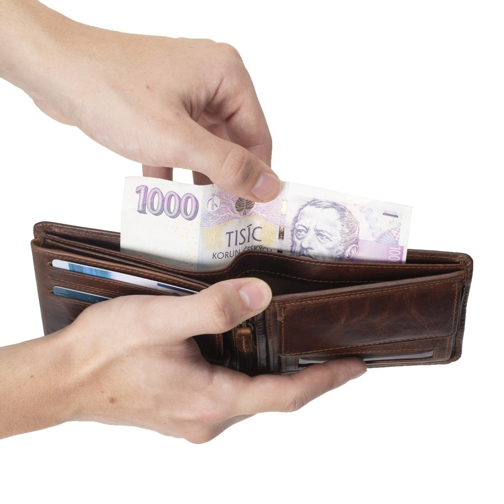 detail Pánská peněženka RIEKER 1007 hnědá W5