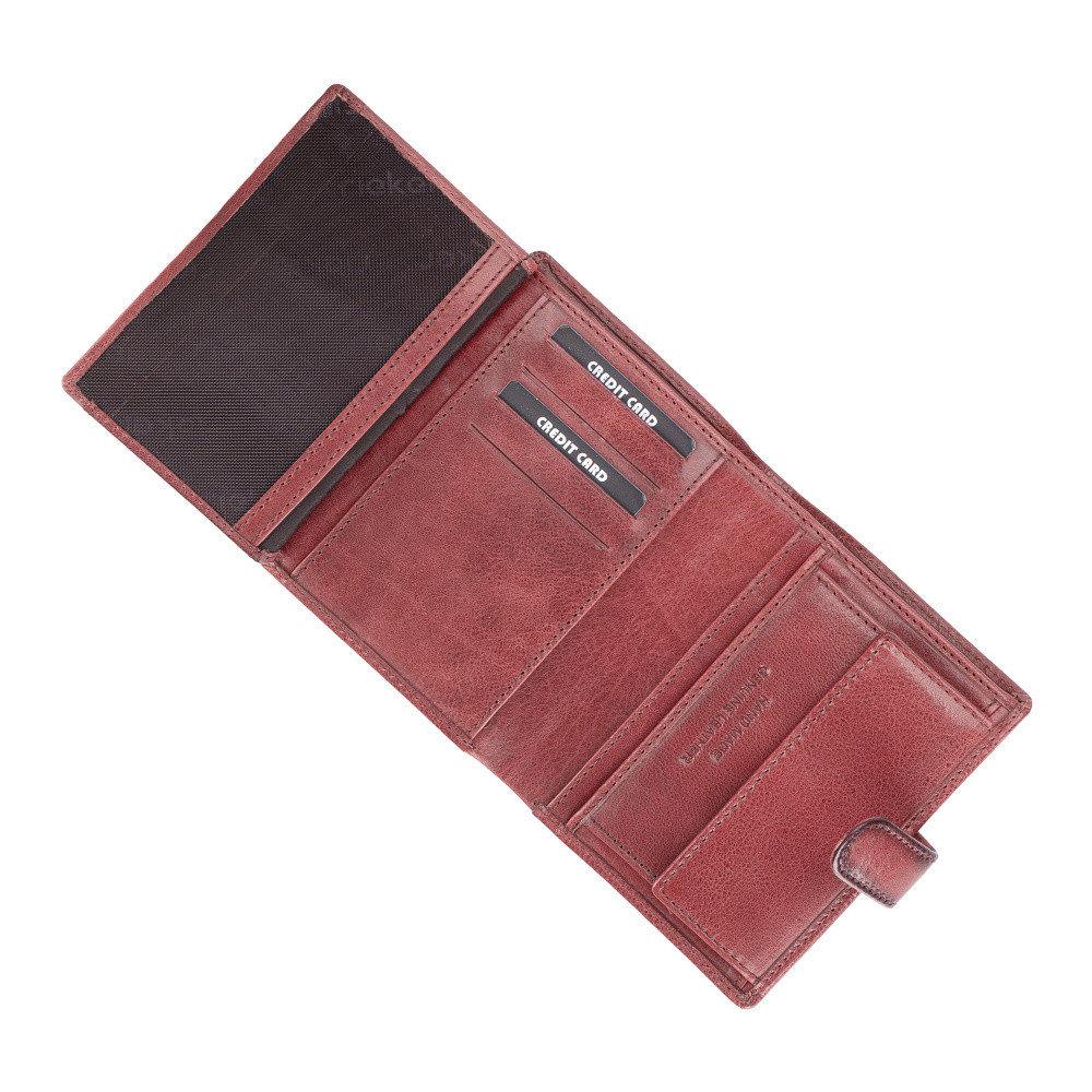 detail Pánská peněženka RIEKER 1064 hnědá S5