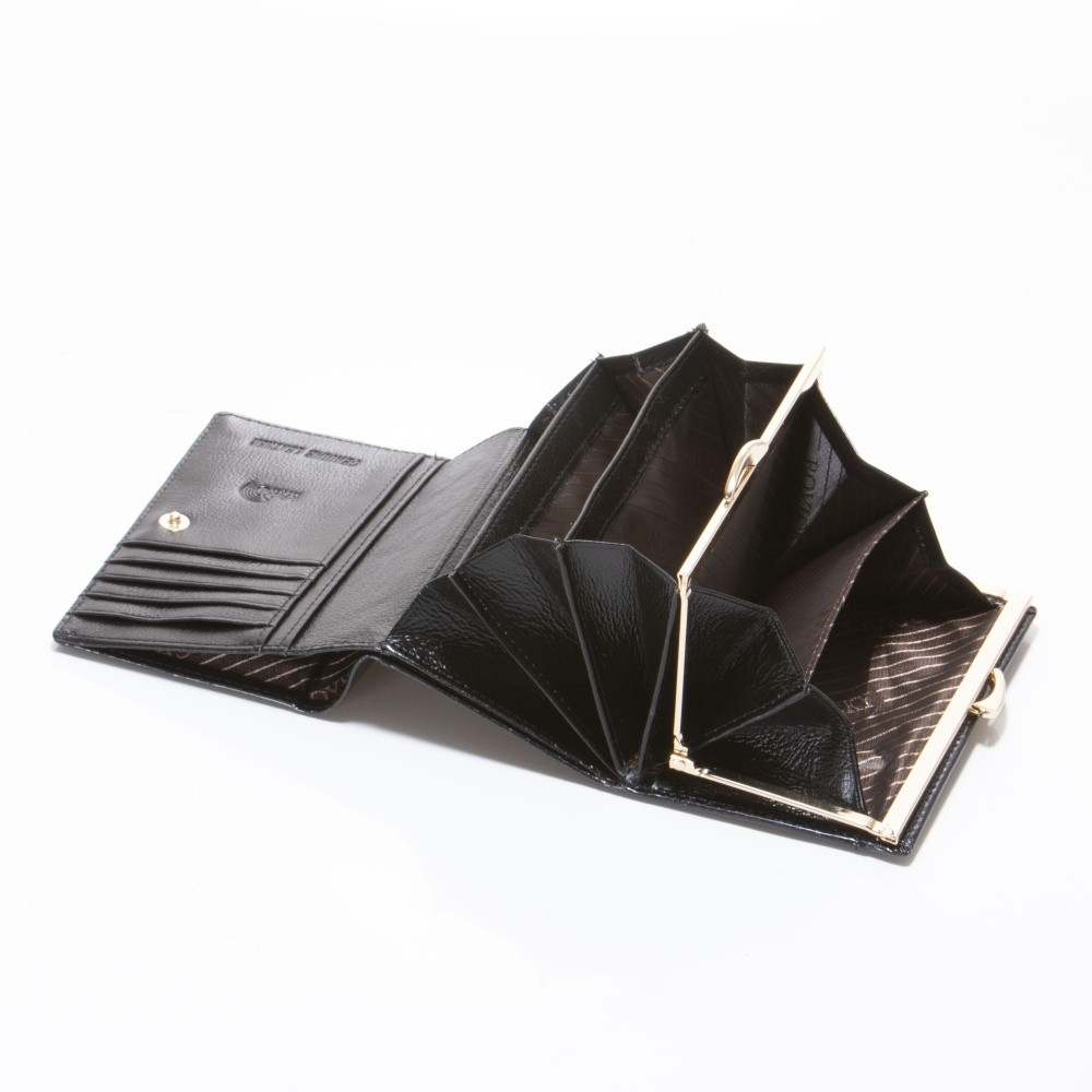 detail Peněženka 8804-SBR černá