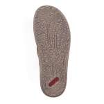 náhled Pánské žabky RIEKER 21084-23 hnědá S6