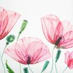 náhled Dámská kabelka RIEKER RIE-20103061-S3 bílá