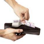 náhled Pánská peněženka RIEKER 1002 hnědá W5