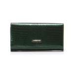 náhled Peněženka 64003-RS zelená