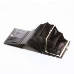 náhled Peněženka 8804-SBR černá